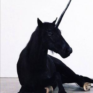 Meet your Posher, Flora